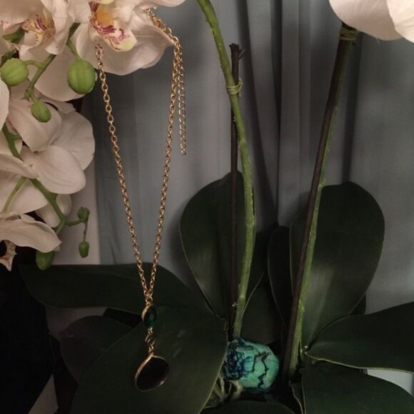 🎉Final deal🎉Cache neckless  - Picture 3 of 3